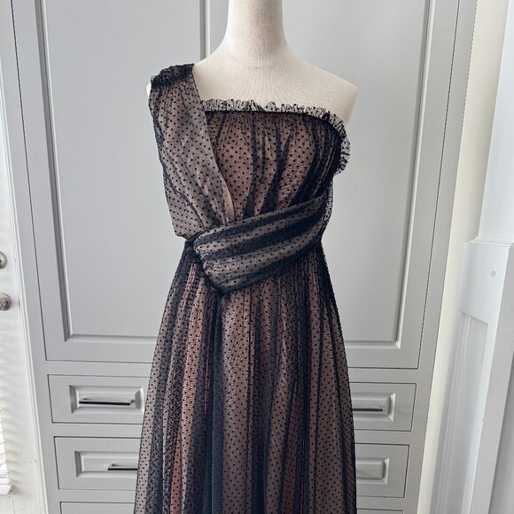 NWT Anthropologie Tulle Dot Maxi Dress - Picture 7 of 16